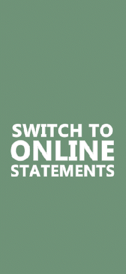 Switch Online Statements